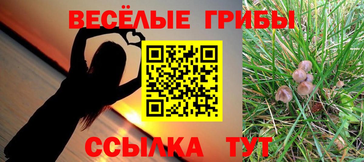 Галлюциногенные грибы GOLDEN TEACHER  Вход с VPN  Киров 